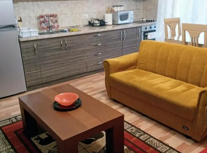 Silver 公寓 科尔察